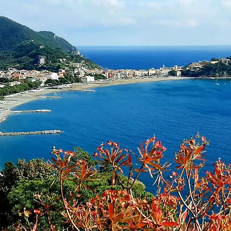 Via Nazionale By Interhome Apartment